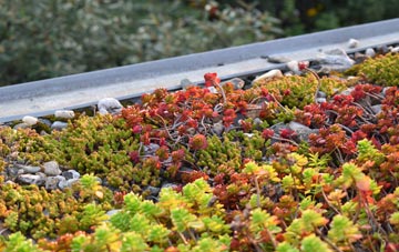 the cost of Skelmorlie green roof installation