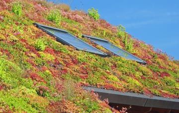Skelmorlie living roof systems